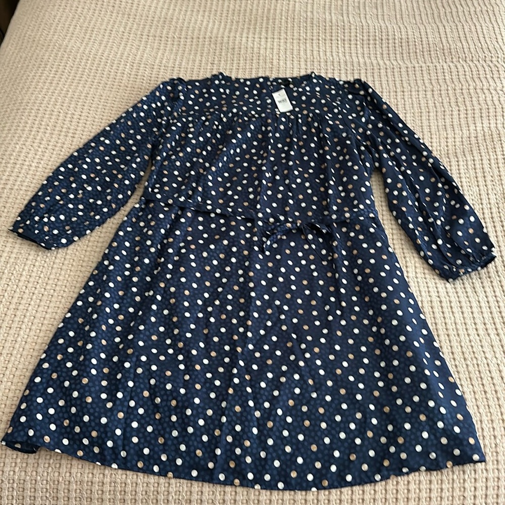 Ann Taylor Dress